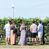 Winery Tour