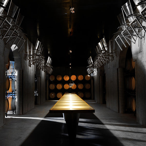 Winery Tour