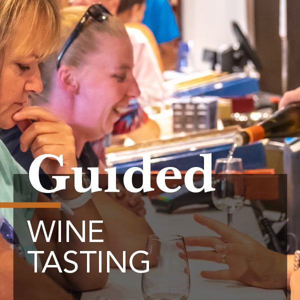 An image depicting a guided wine tasting experience with two people seated at a table, tasting wine.